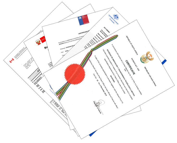 Mosaico Certificado